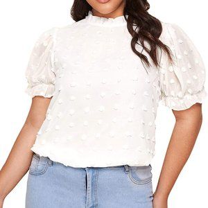 🆕 NWT SHEIN Plus Ruffle Neck Puff Sleeve Appliques Curve Plus Top